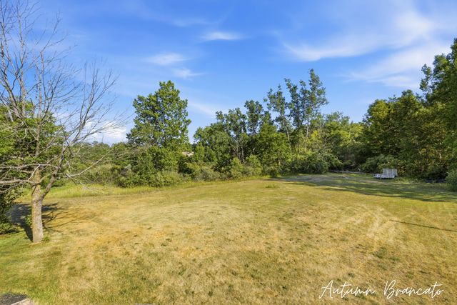 3350 Egner Street Ne, Solon Twp, MI 49319