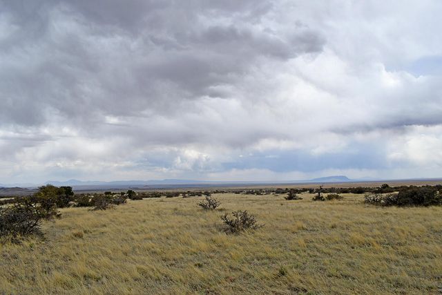 Lot 40 Sunset Vista Road, San Antonio, NM 87832