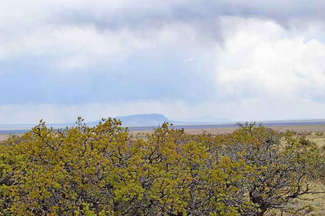 Lot 40 Sunset Vista Road, San Antonio, NM 87832
