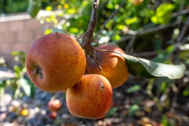 6261 CRYSTAL LAKE AVE, San Diego, CA 92119