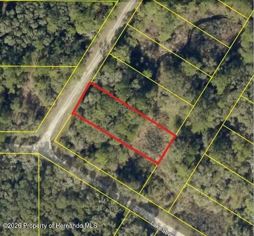 0 Bedstone Drive, Webster, FL 33597
