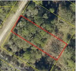 0 Bedstone Drive, Webster, FL 33597