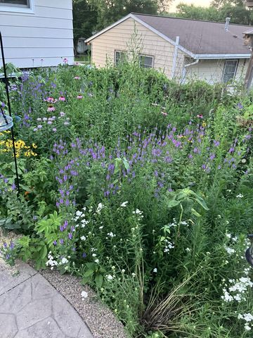 3810 1st Place NW, Rochester, MN 55901