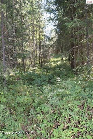 NNA Chief Joseph Ln, Samuels, ID 83862