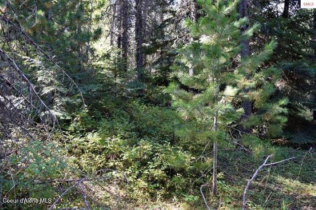 NNA Chief Joseph Ln, Samuels, ID 83862