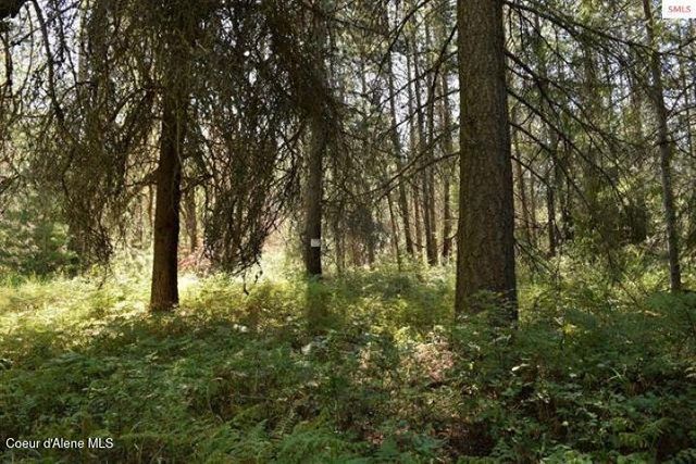 NNA Chief Joseph Ln, Samuels, ID 83862
