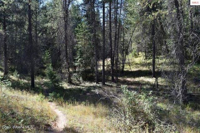 NNA Chief Joseph Ln, Samuels, ID 83862
