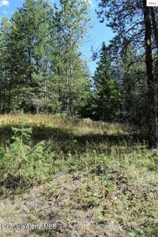 NNA Chief Joseph Ln, Samuels, ID 83862