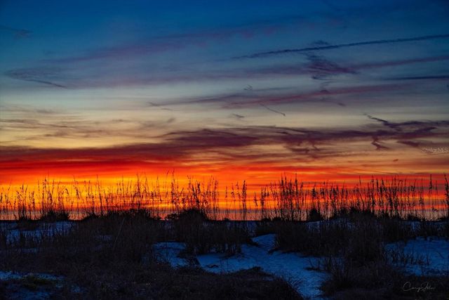 1040 ELDORADO AVENUE, Clearwater Beach, FL 33767