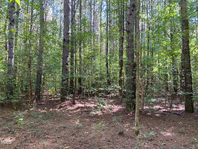 0 Collins Road, Lot 4, Manson, NC 27553