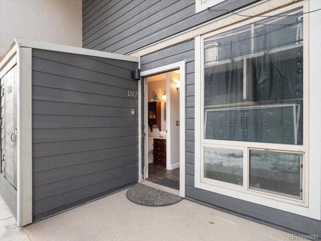 290 Straight Creek Dr 107, Dillon, CO 80435