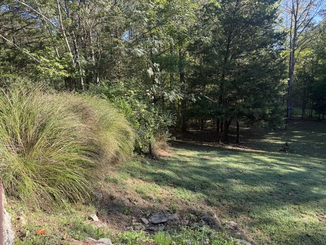 480 Hickman Shores Rd, Dover, TN 37058