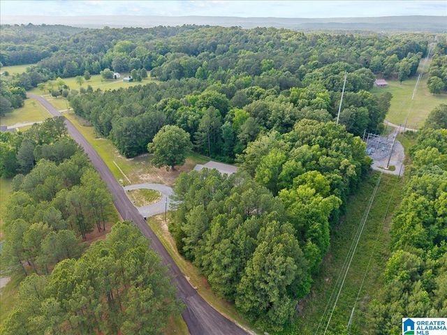 665 STOLLE FARM ROAD, Ashville, AL 35953