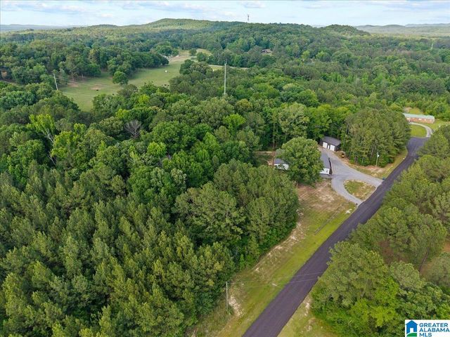 665 STOLLE FARM ROAD, Ashville, AL 35953