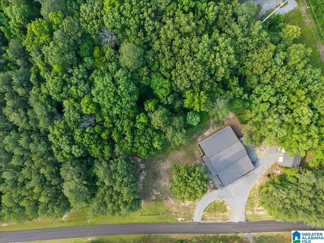 665 STOLLE FARM ROAD, Ashville, AL 35953