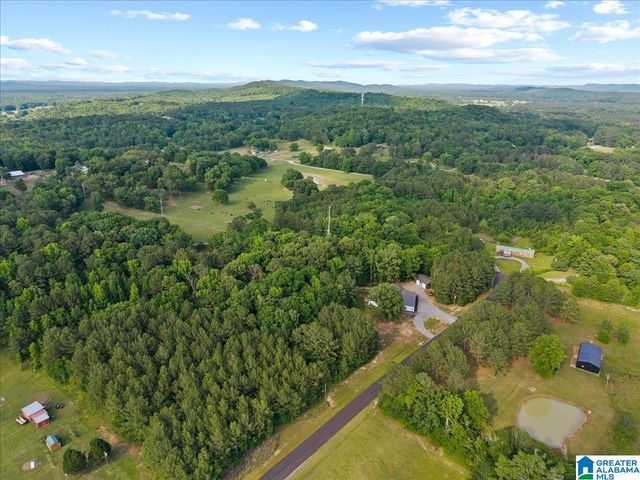 665 STOLLE FARM ROAD, Ashville, AL 35953
