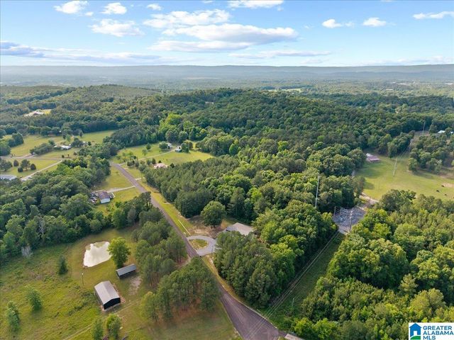 665 STOLLE FARM ROAD, Ashville, AL 35953