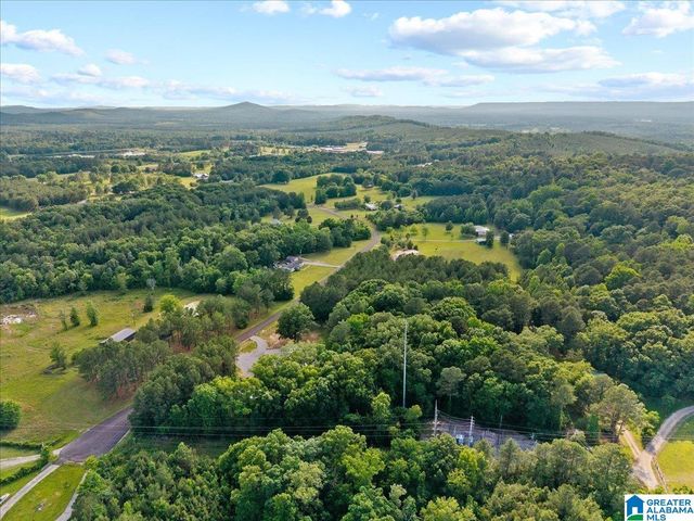 665 STOLLE FARM ROAD, Ashville, AL 35953