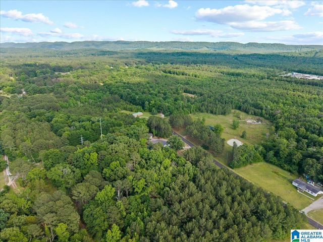 665 STOLLE FARM ROAD, Ashville, AL 35953