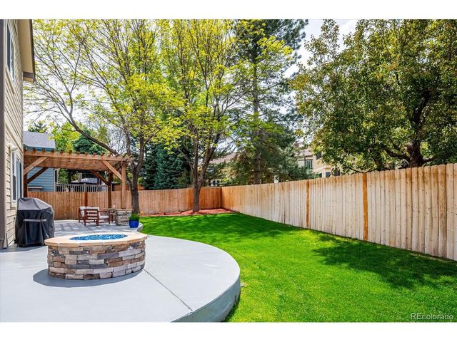 10003 Armadillo Dr, Lone Tree, CO 80124