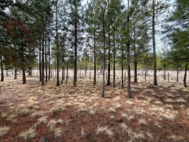 52495 Lost Ponderosa Road, La Pine, OR 97739