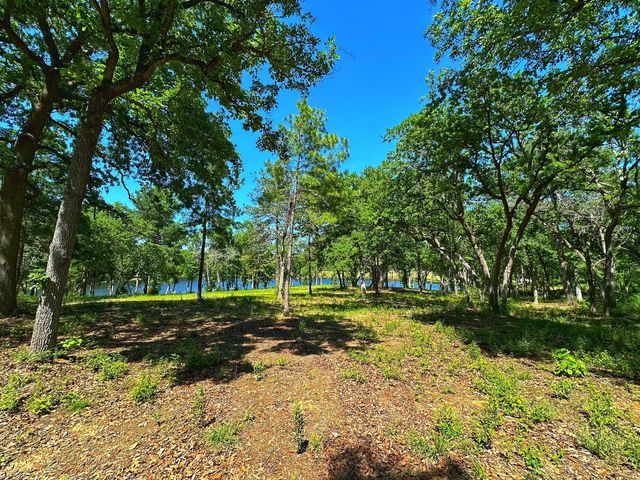 Tract 153 Pr 1311, Centerville, TX 75833