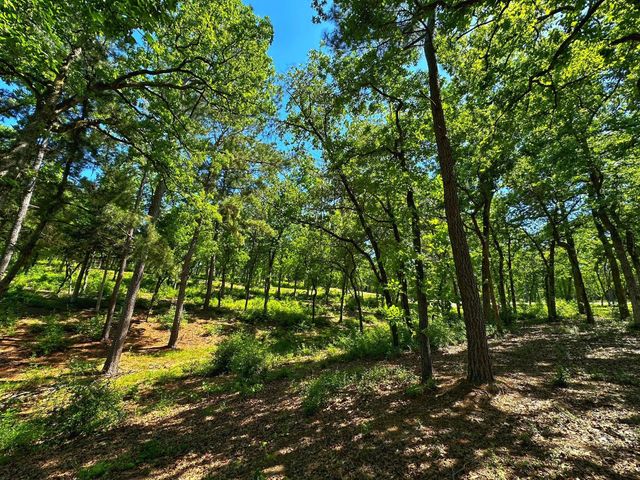 Tract 153 Pr 1311, Centerville, TX 75833