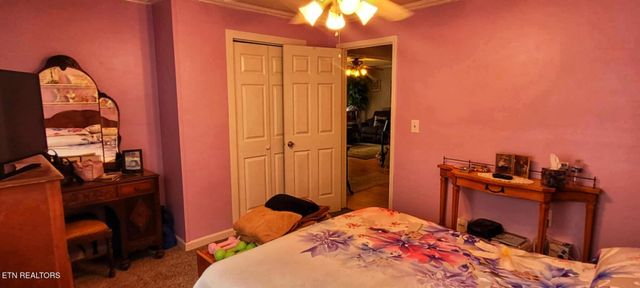 1591 Big Ridge Rd, Spring City, TN 37381