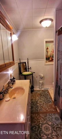 1591 Big Ridge Rd, Spring City, TN 37381