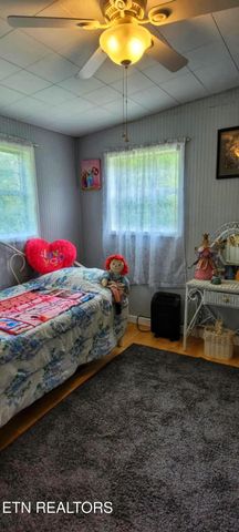 1591 Big Ridge Rd, Spring City, TN 37381