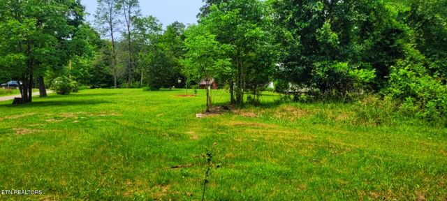 1591 Big Ridge Rd, Spring City, TN 37381