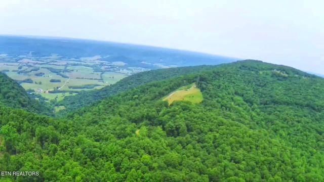 1591 Big Ridge Rd, Spring City, TN 37381