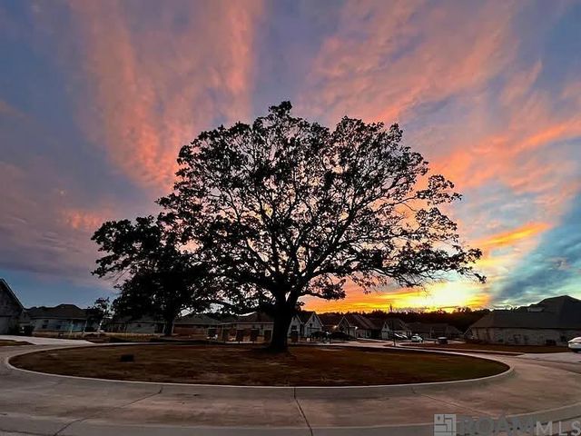 9994 Stratford Dr, Denham Springs, LA 70726