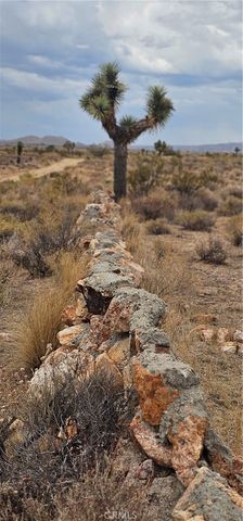 0 116th Street, Rosamond, CA 93505