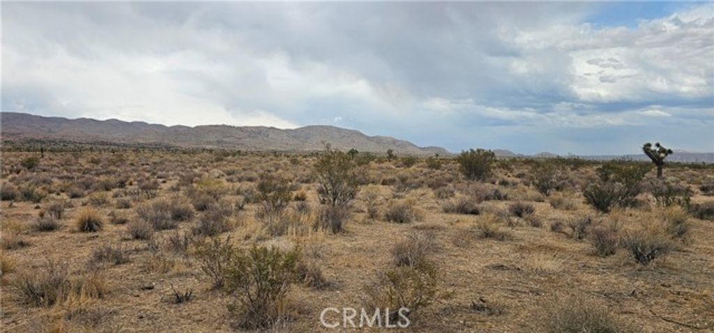 0 116th Street, Rosamond, CA 93505