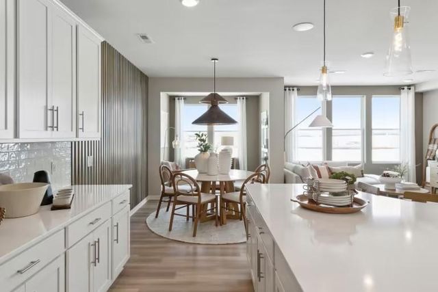 14932 Avondale View, Rosemount, MN 55068
