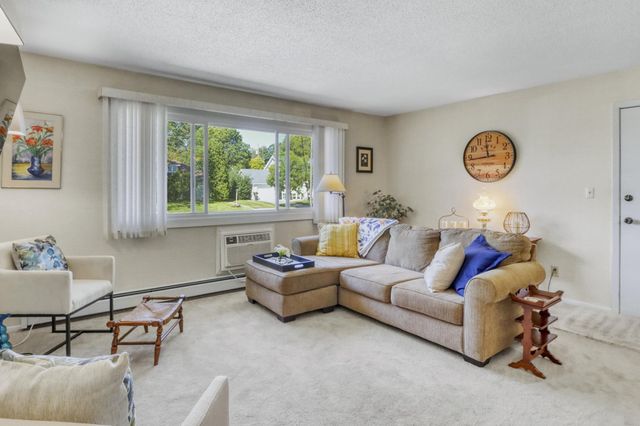 1229 Madison Avenue 295, Detroit Lakes, MN 56501