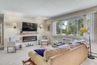 1229 Madison Avenue 295, Detroit Lakes, MN 56501