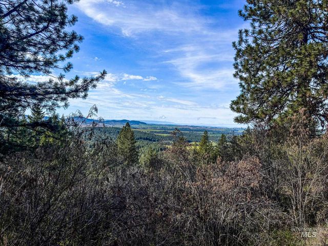 TBD Cedar Creek Subdivision, Kendrick, ID 83587