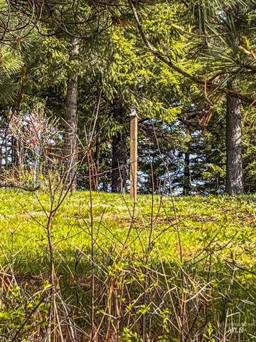 TBD Cedar Creek Subdivision, Kendrick, ID 83587