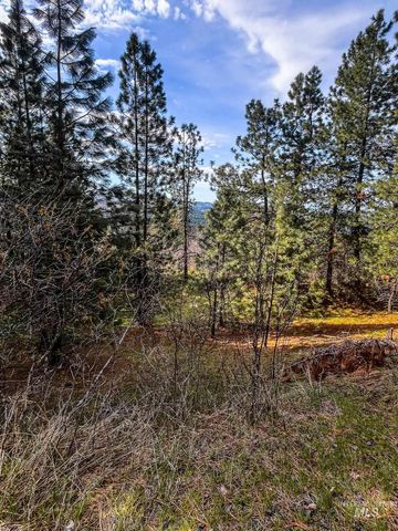 TBD Cedar Creek Subdivision, Kendrick, ID 83587