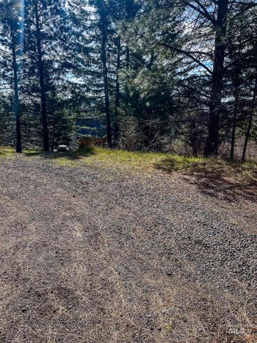 TBD Cedar Creek Subdivision, Kendrick, ID 83587