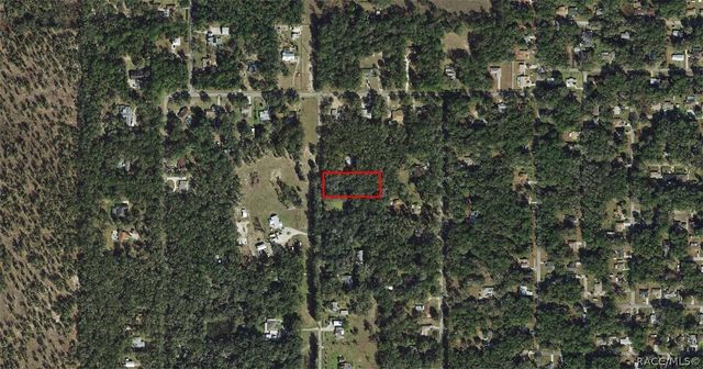 3987 S Big Al Point, Inverness, FL 34452