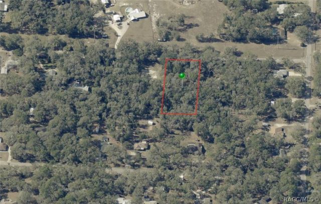 3987 S Big Al Point, Inverness, FL 34452