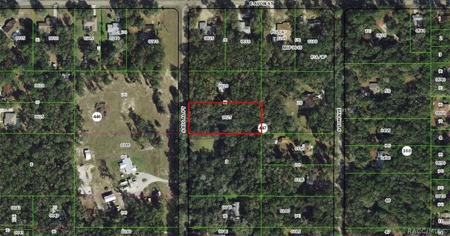 3987 S Big Al Point, Inverness, FL 34452
