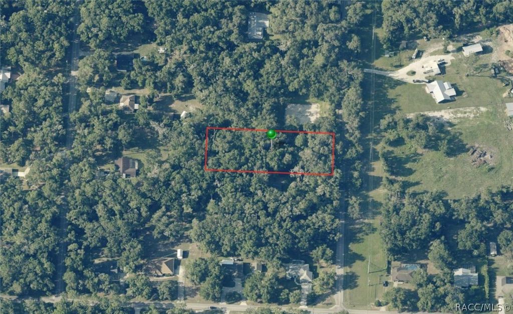 3987 S Big Al Point, Inverness, FL 34452