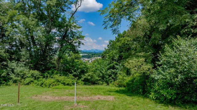 2424 Overlook Road, Kingsport, TN 37664