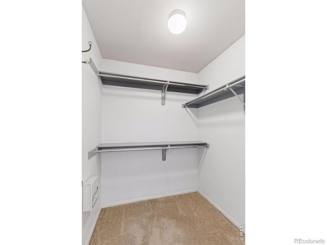 1421 Sorrel Court, Longmont, CO 80504
