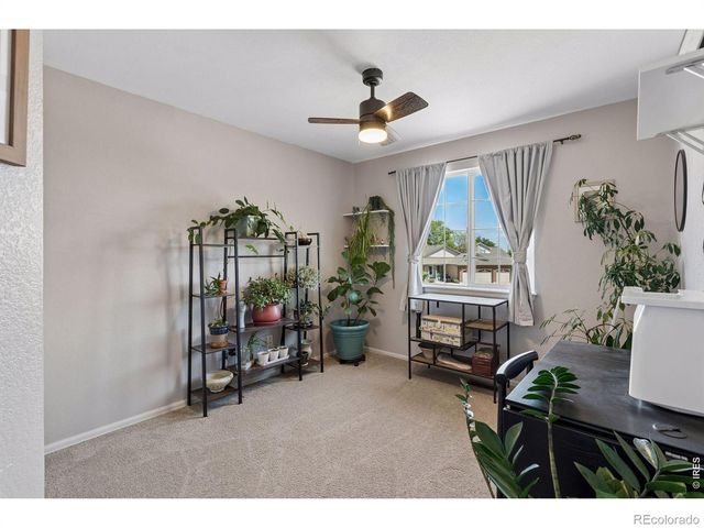 1421 Sorrel Court, Longmont, CO 80504