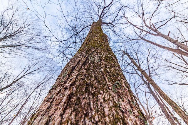 265 Greenbrier Road, Seaman, OH 45679